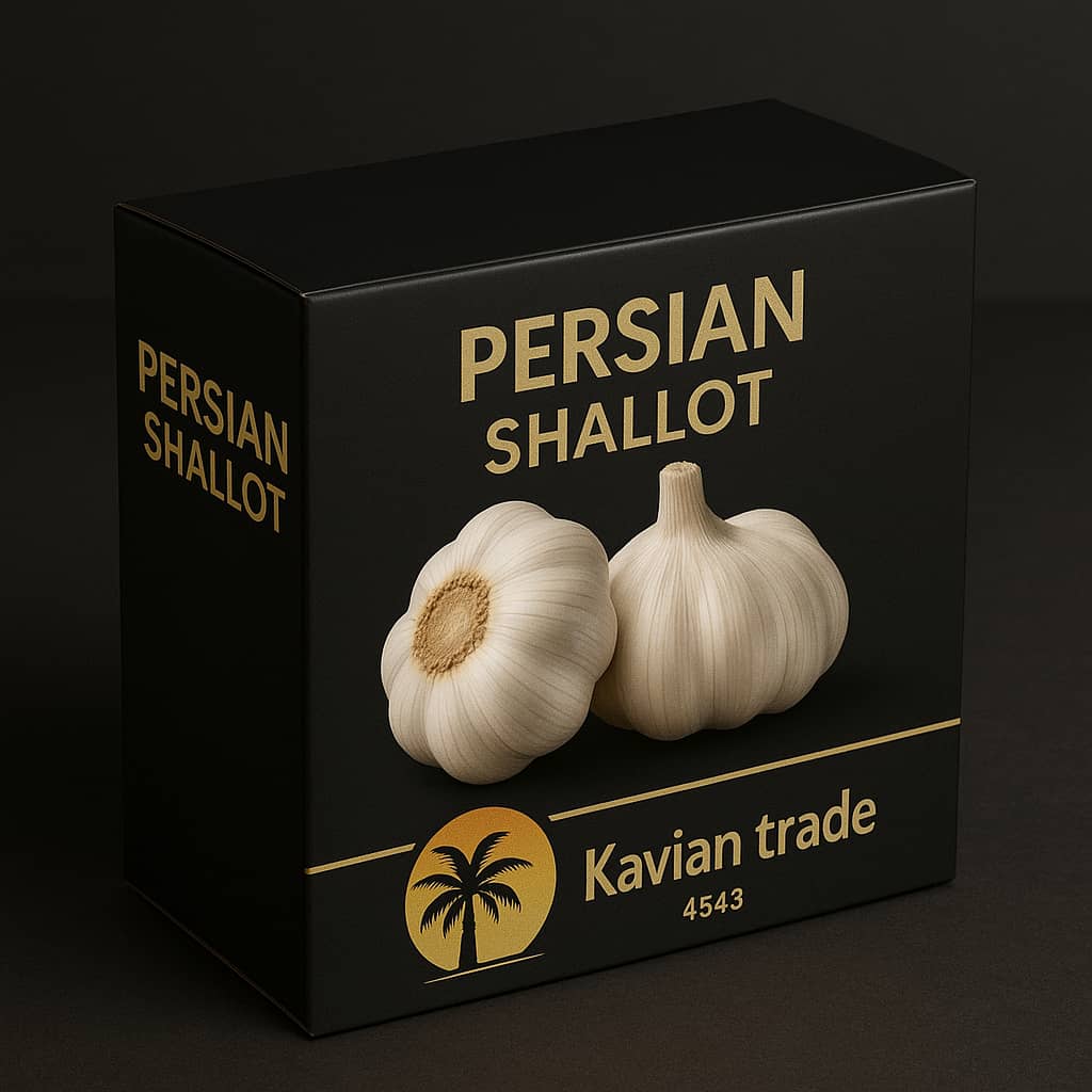 سیر 